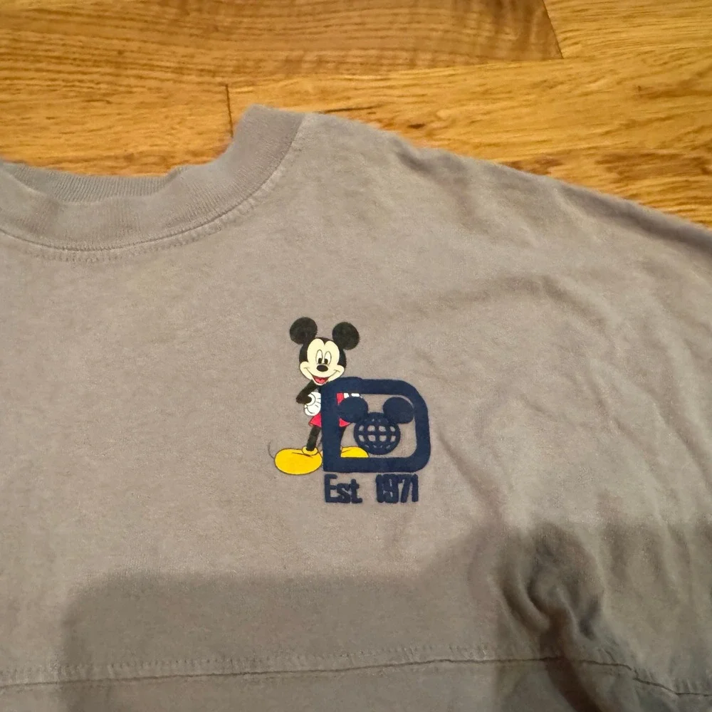 Disney Parks x Spirit Jersey disney parks